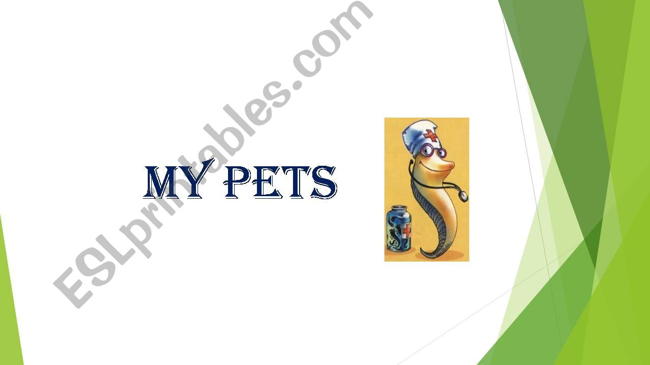 My pets (it`s a funny story)  powerpoint